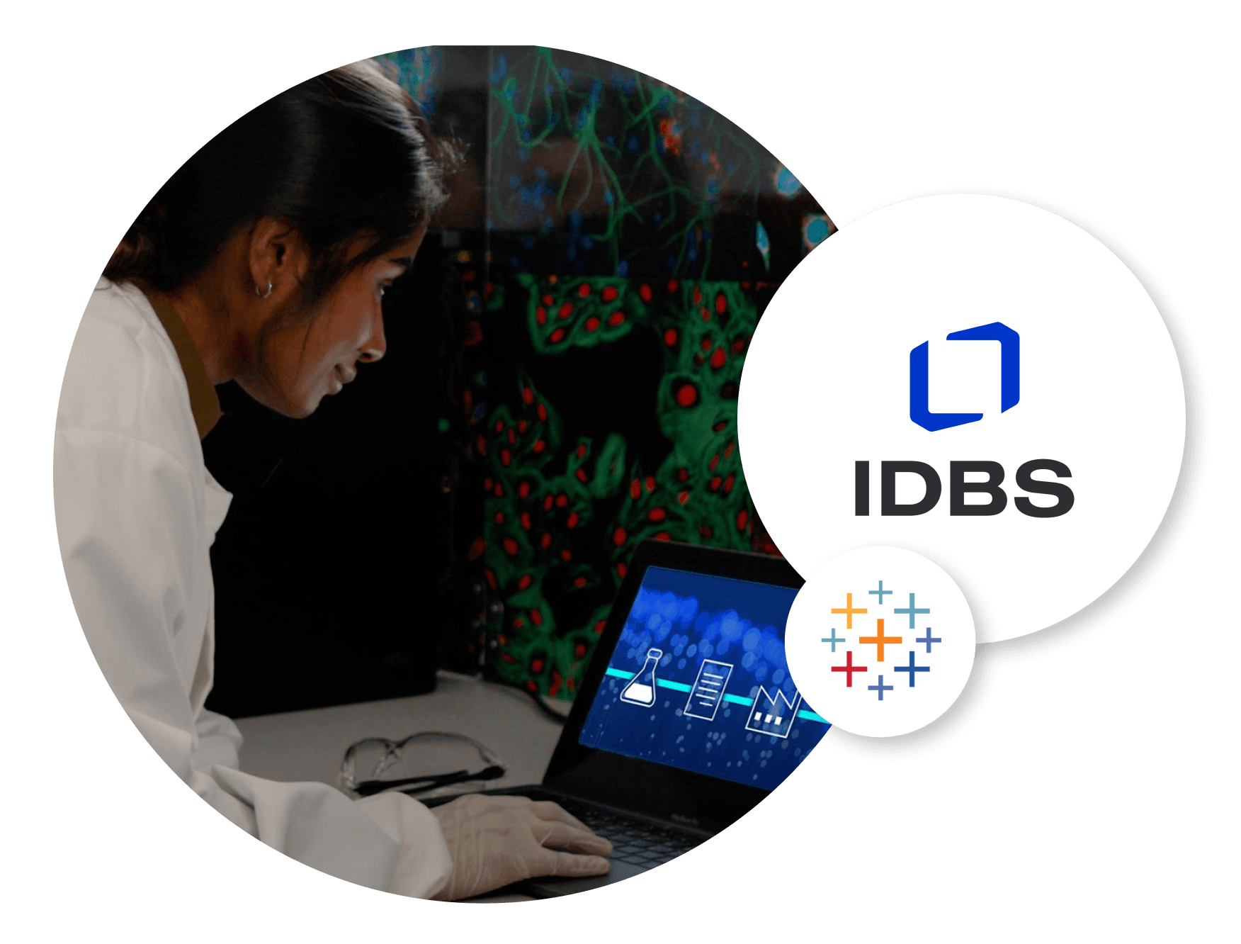IDBS 影像